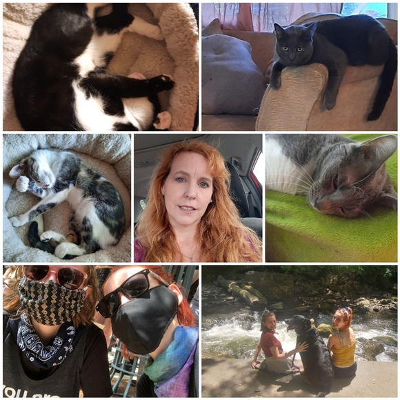 Meet your Posher, Alii - Picture 1 of 3